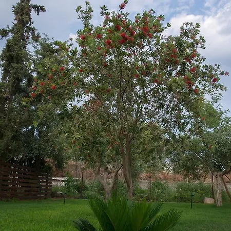 Apart Otel Land Of Gods 3*