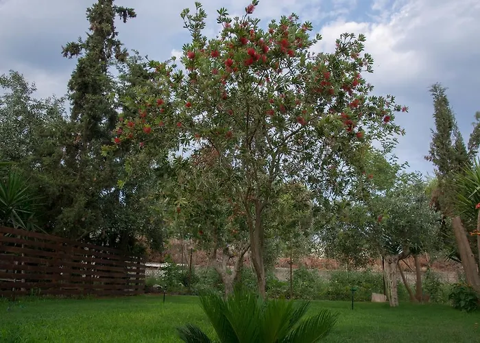 Aparthotel Land Of Gods 3*